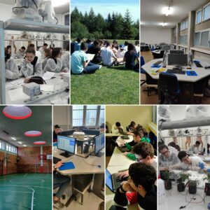 collage scienze e tecnologia